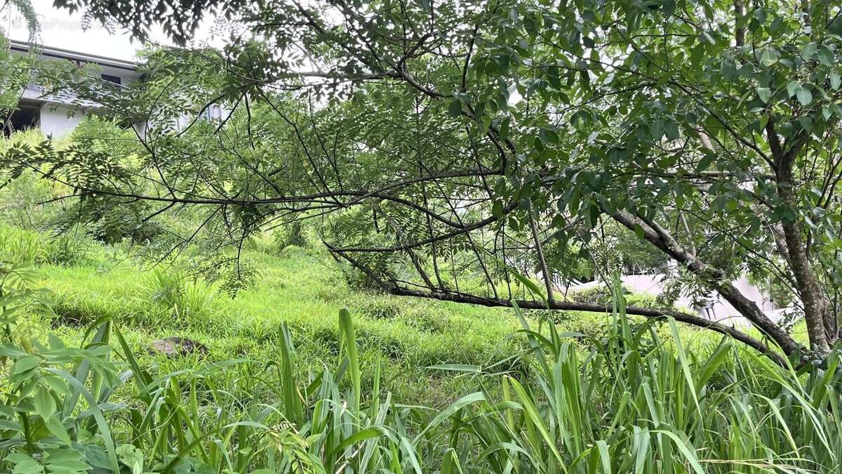 Terrain à RIVIERE-SALEE