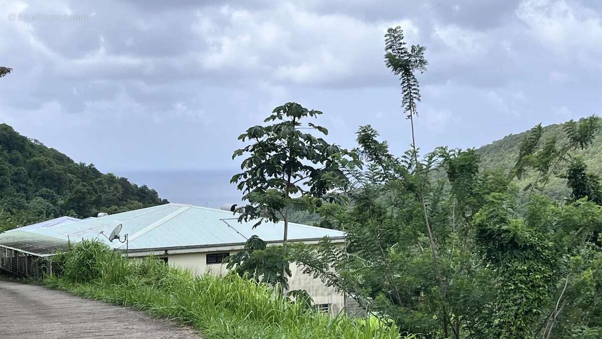 Terrain à RIVIERE-SALEE