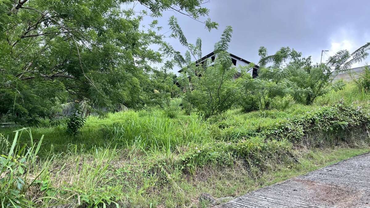 Terrain à RIVIERE-SALEE