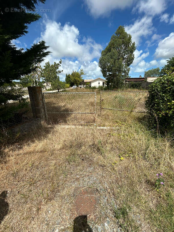 Terrain à SAINT-VIVIEN-DE-MEDOC