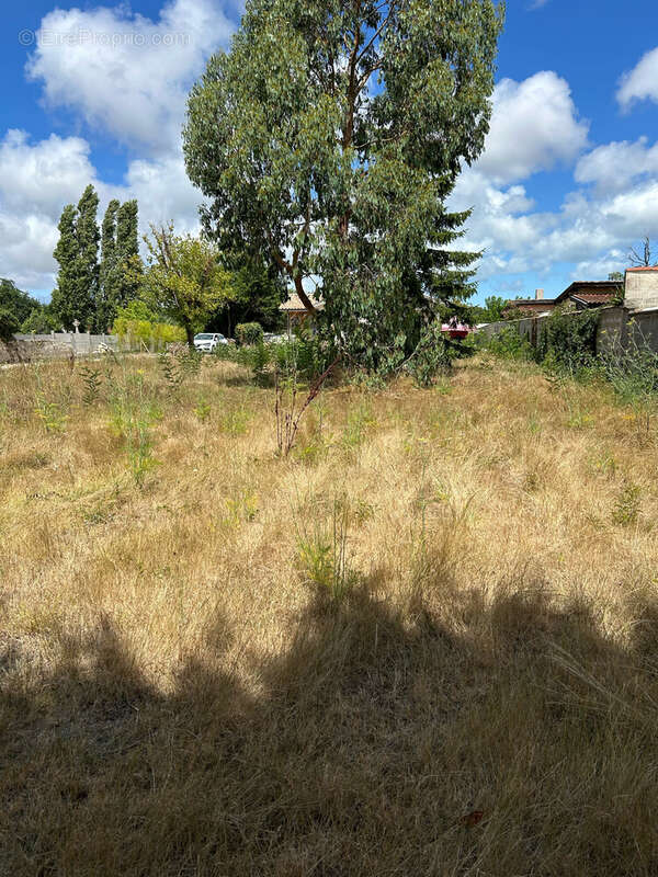 Terrain à SAINT-VIVIEN-DE-MEDOC