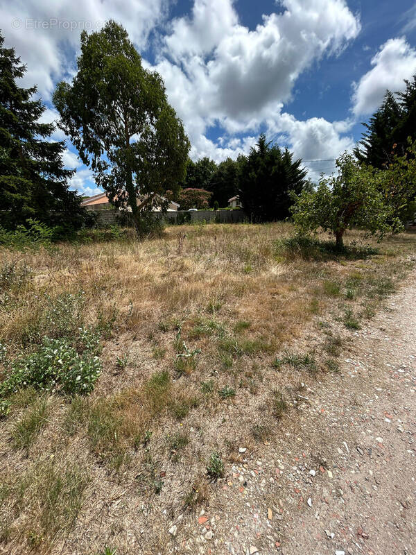 Terrain à SAINT-VIVIEN-DE-MEDOC
