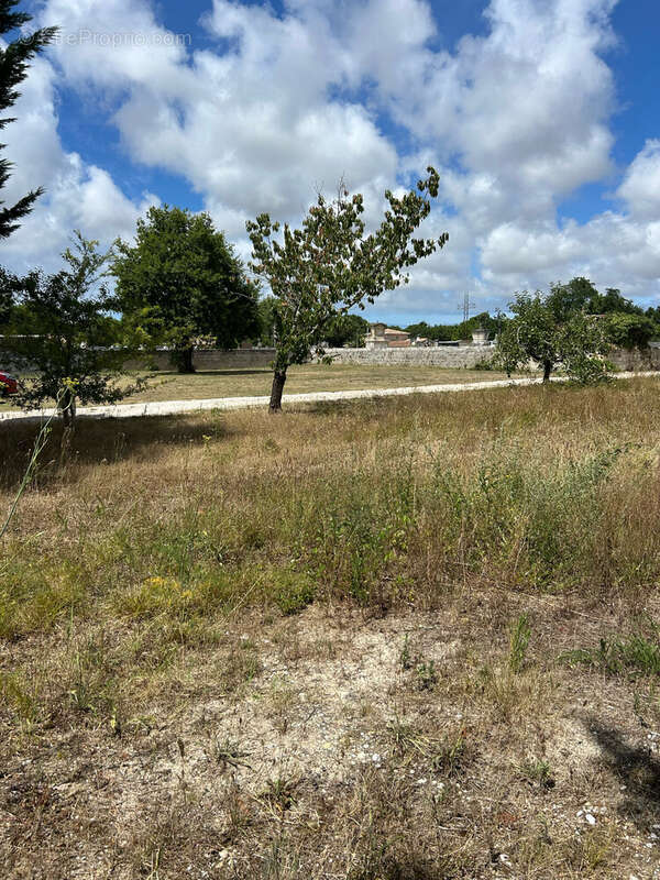 Terrain à SAINT-VIVIEN-DE-MEDOC