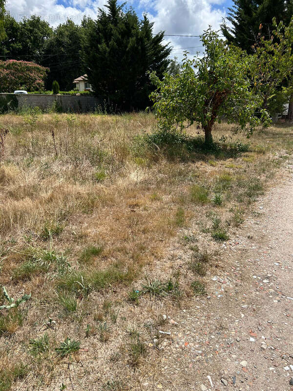 Terrain à SAINT-VIVIEN-DE-MEDOC