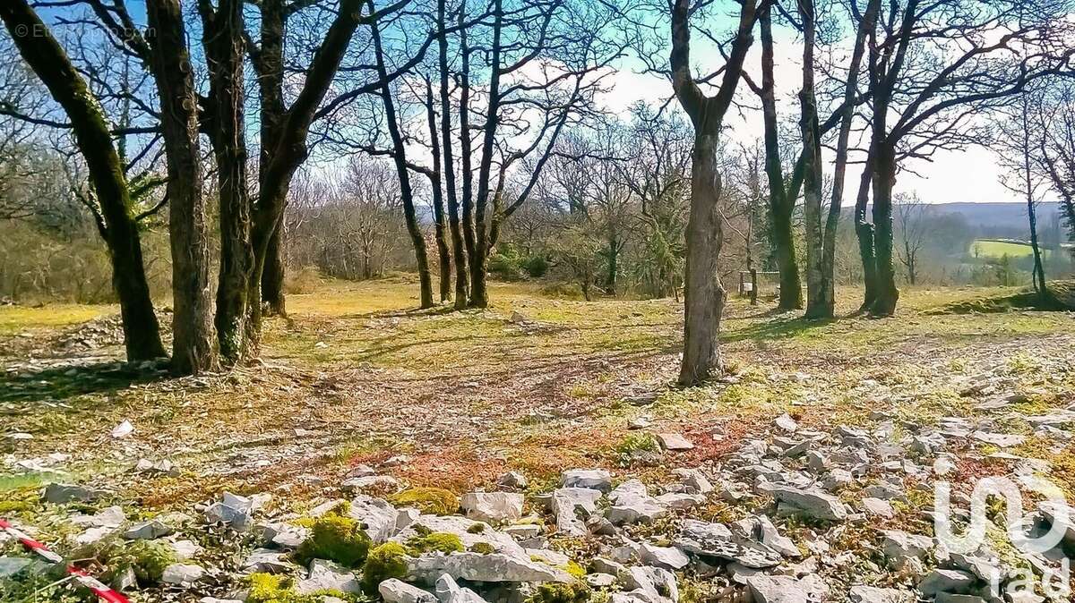 Photo 3 - Terrain à NESPOULS