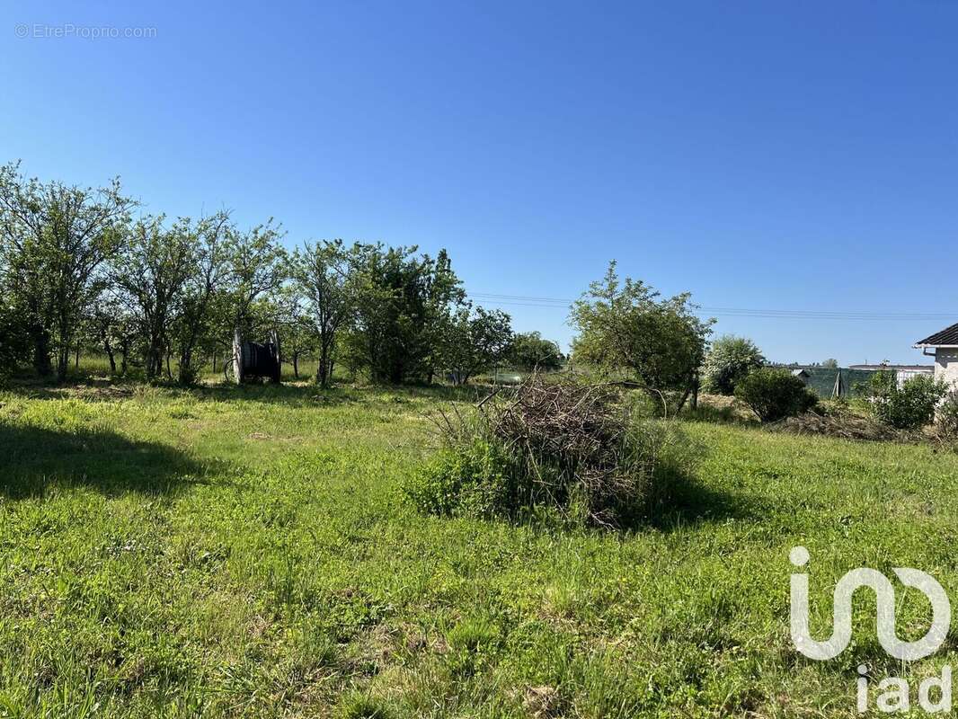 Photo 3 - Terrain à CHARGE
