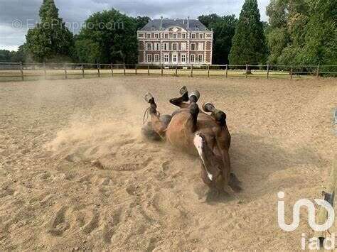 Photo 7 - Maison à SAVIGNY-SUR-CLAIRIS