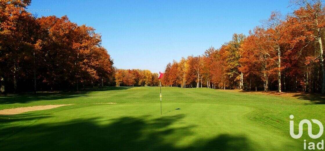 Photo 8 - Maison à SAVIGNY-SUR-CLAIRIS