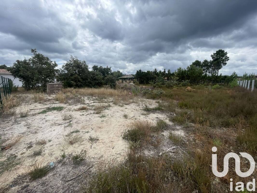 Photo 1 - Terrain à SAUGNACQ-ET-MURET
