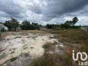 Photo 1 - Terrain à SAUGNACQ-ET-MURET