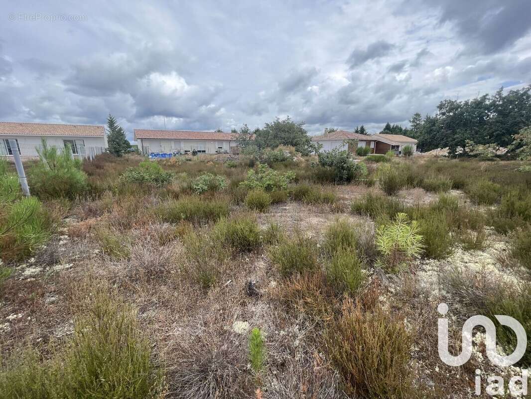 Photo 2 - Terrain à SAUGNACQ-ET-MURET