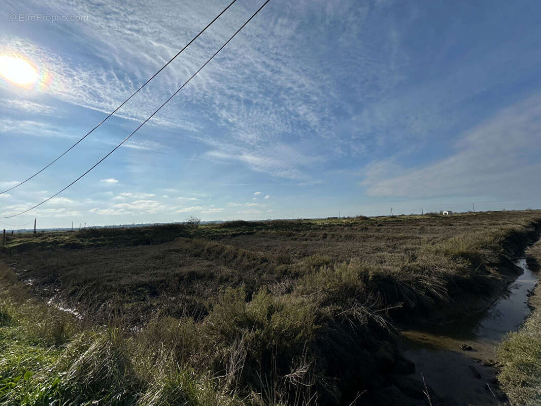 Terrain à NIEULLE-SUR-SEUDRE