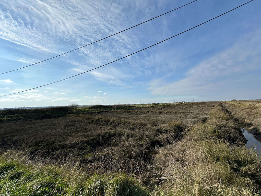 Terrain à NIEULLE-SUR-SEUDRE