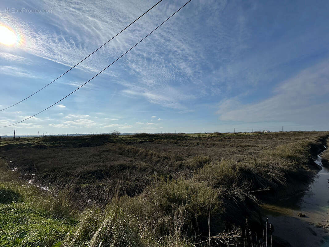 Terrain à NIEULLE-SUR-SEUDRE