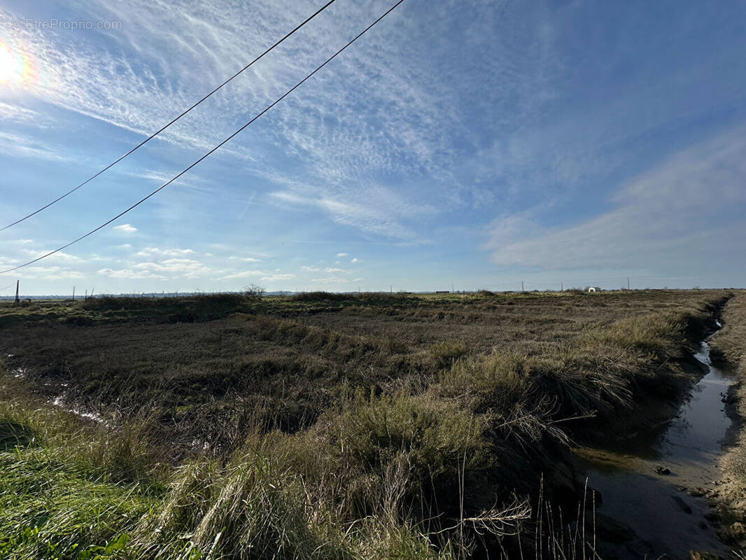 Terrain à NIEULLE-SUR-SEUDRE