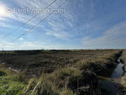 Terrain à NIEULLE-SUR-SEUDRE