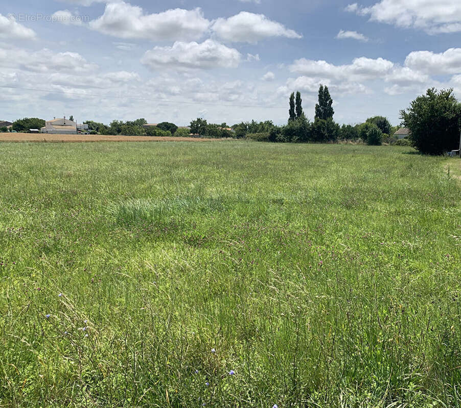 Terrain à NIEULLE-SUR-SEUDRE