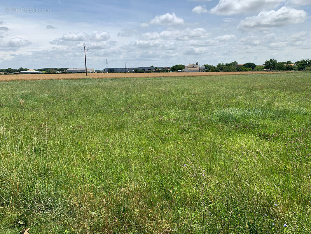 Terrain à NIEULLE-SUR-SEUDRE