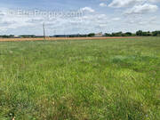 Terrain à NIEULLE-SUR-SEUDRE