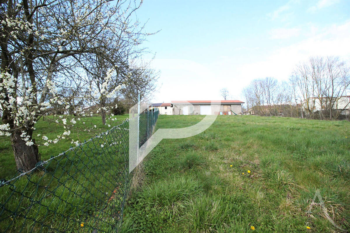 Terrain à MAIZEROY