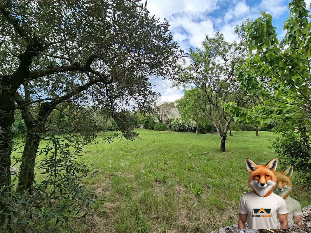 Maison à SAINT-HILAIRE-DE-BRETHMAS