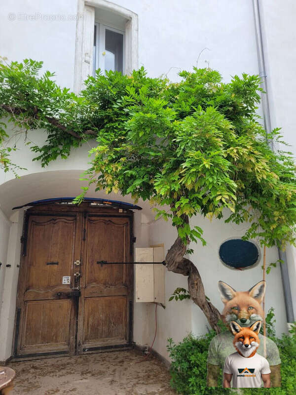 Maison à ILLE-SUR-TET