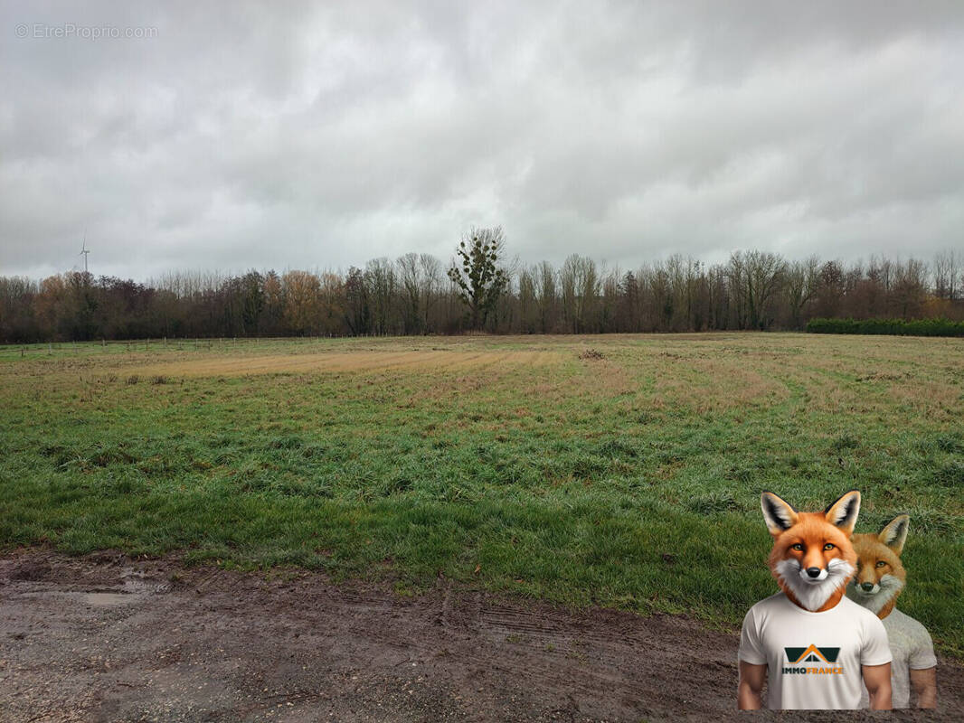 Terrain à SOLIGNY-LES-ETANGS