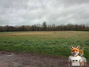 Terrain à SOLIGNY-LES-ETANGS