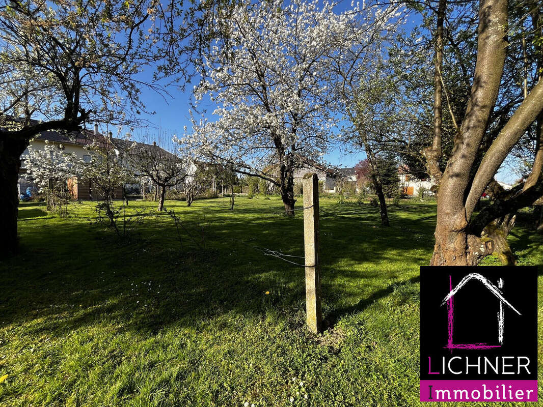 Terrain à TETING-SUR-NIED