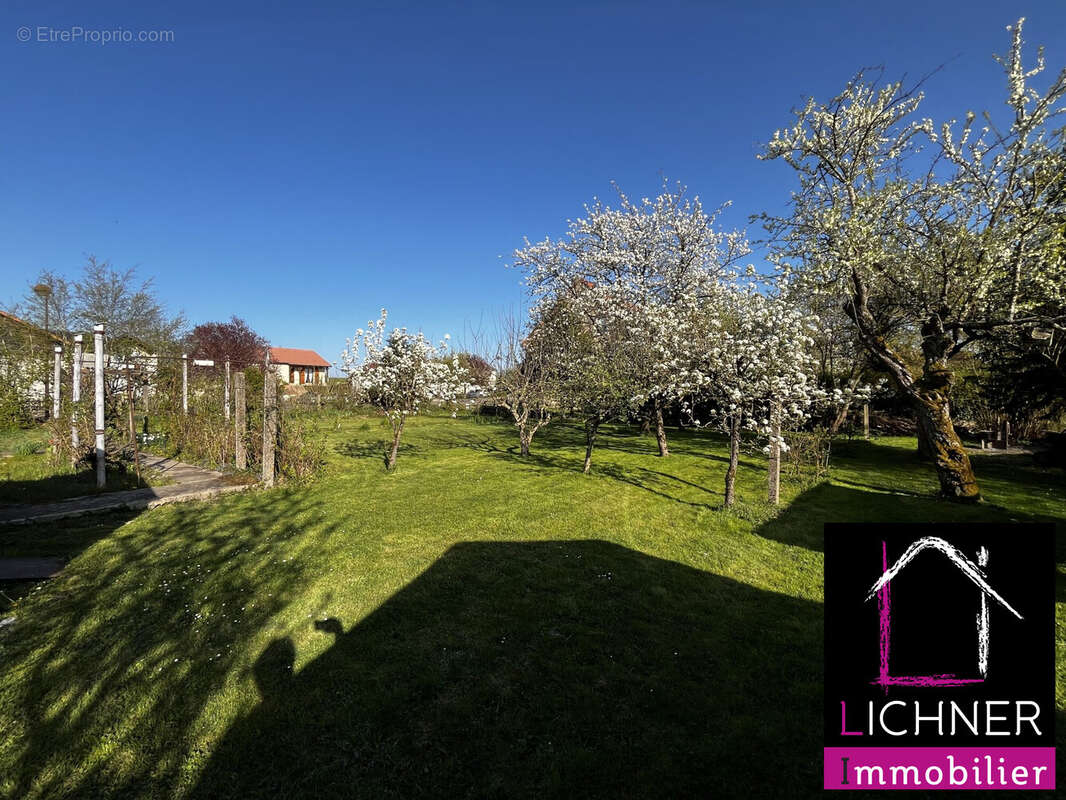 Terrain à TETING-SUR-NIED