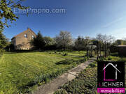 Terrain à TETING-SUR-NIED