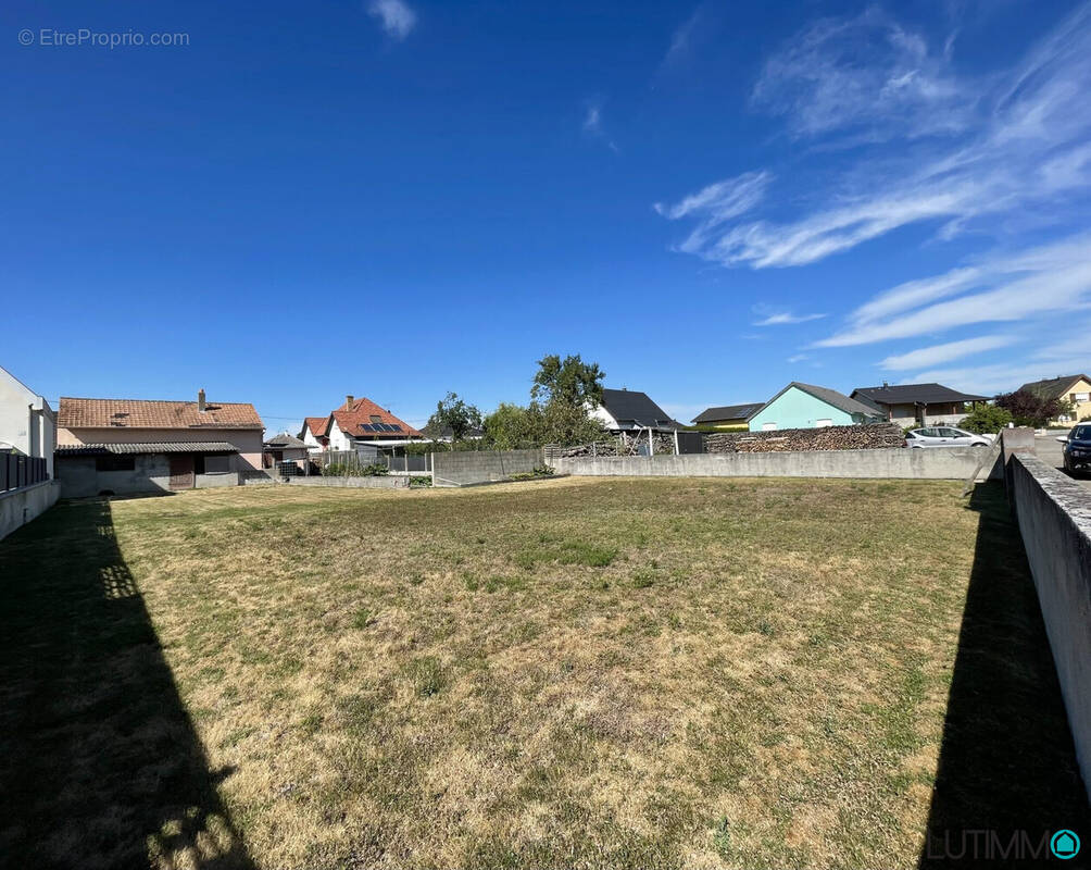 Terrain à HIRTZFELDEN