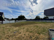 Terrain à HIRTZFELDEN