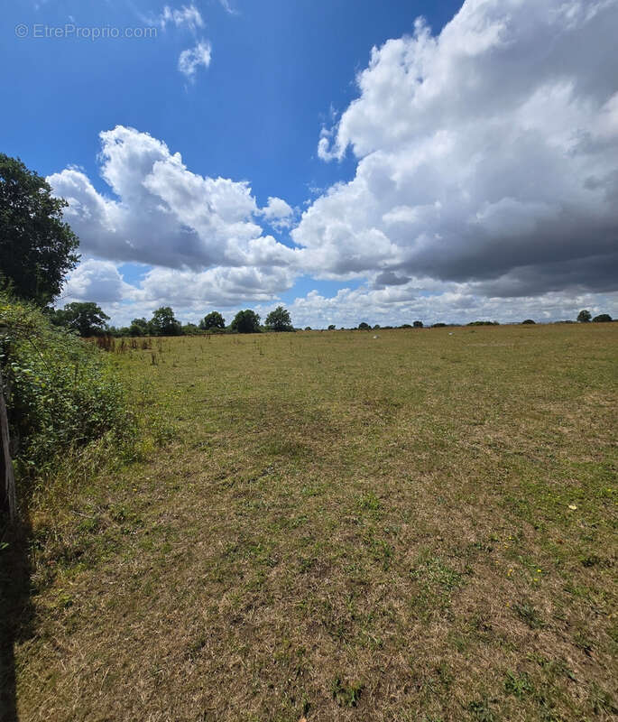 Maison à MESLAY-DU-MAINE