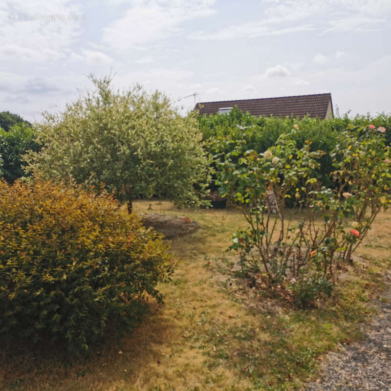 Maison à SAINT-LAURENT-D&#039;ANDENAY