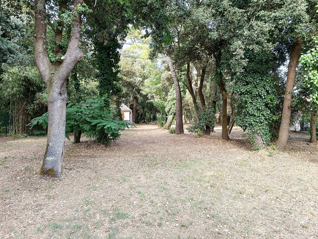 Terrain à SAINT-VINCENT-SUR-JARD