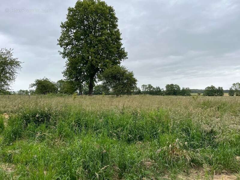 Maison à HONDEVILLIERS