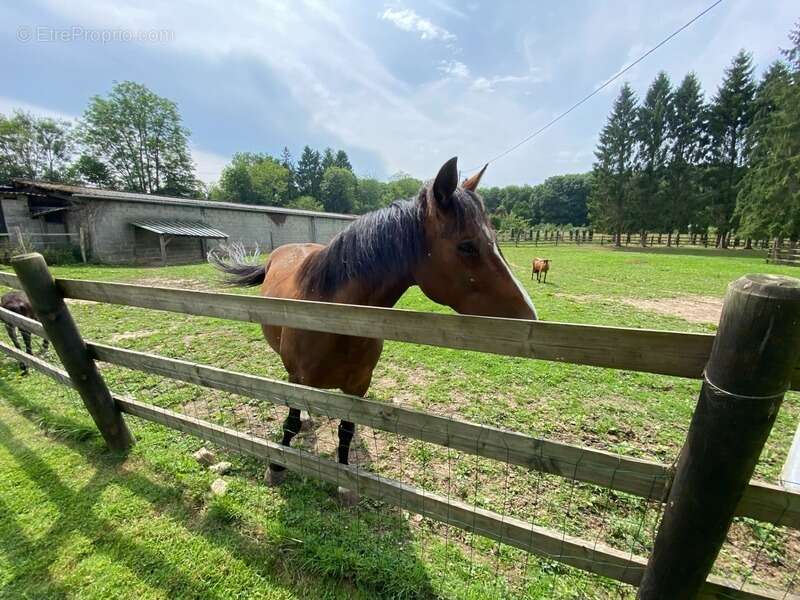 Maison à LE TORQUESNE
