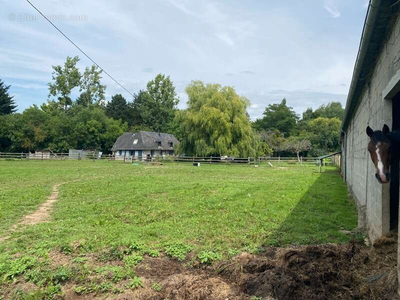Maison à LE TORQUESNE