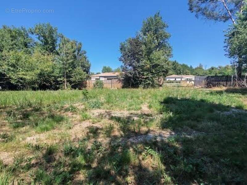 Terrain à LA BREDE