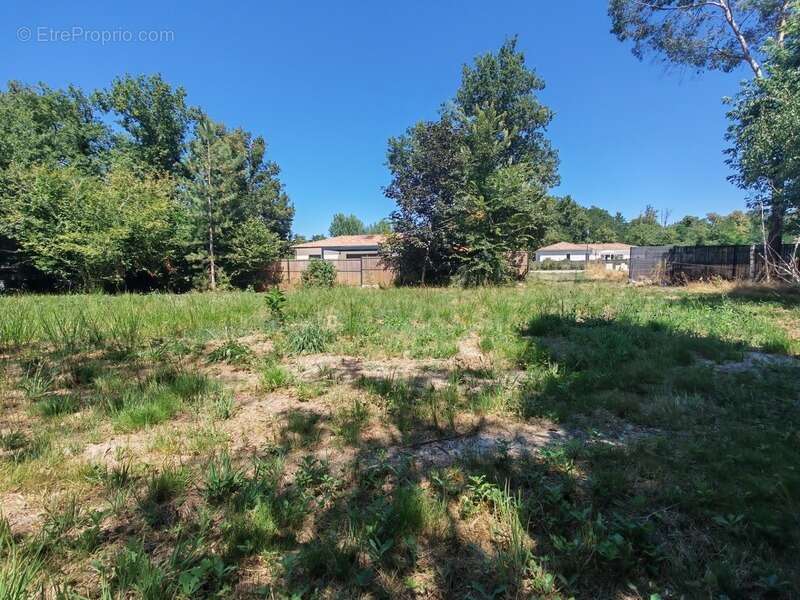 Terrain à LA BREDE
