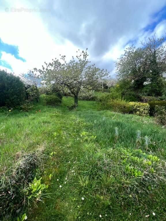 Maison à LE CREUSOT