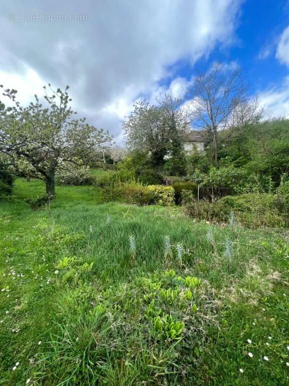 Maison à LE CREUSOT