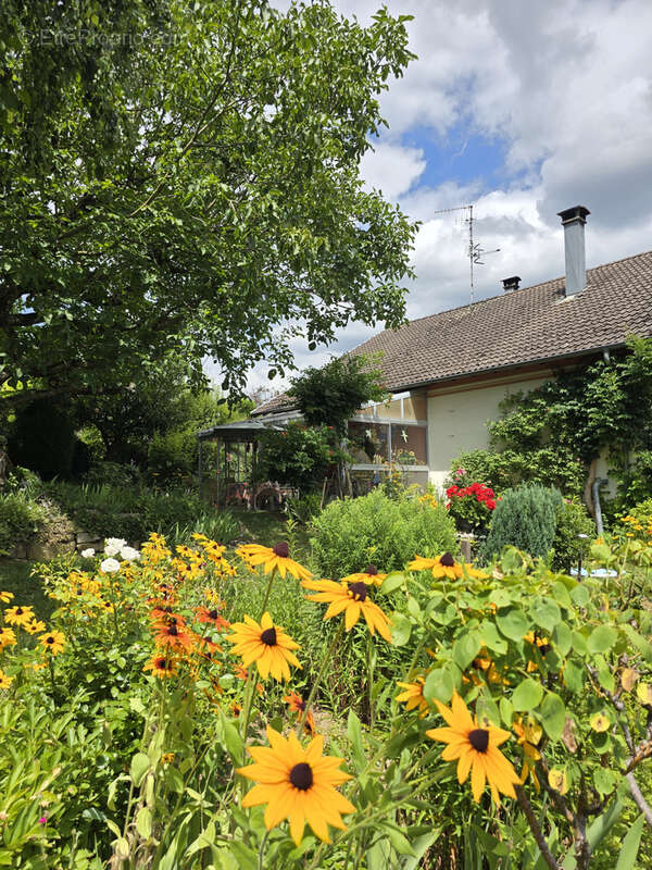 Autre à ESCHENTZWILLER