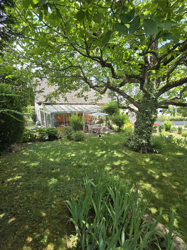 Autre à ESCHENTZWILLER