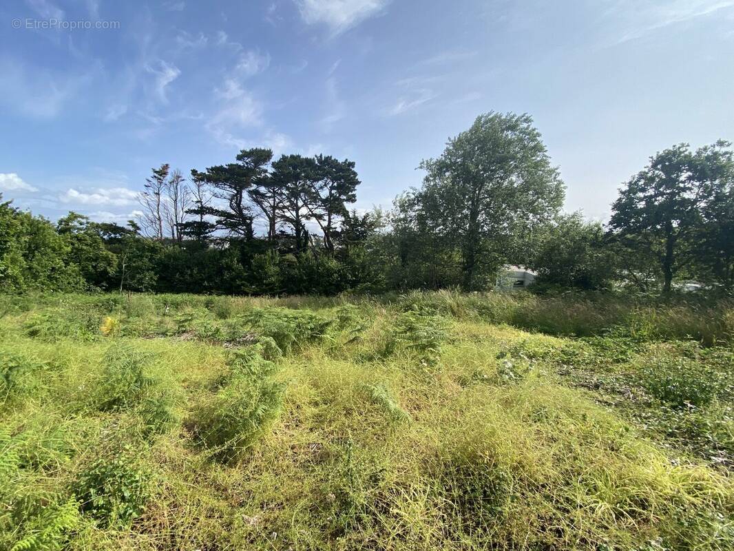 Terrain à PLOUARZEL