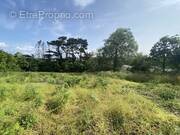 Terrain à PLOUARZEL