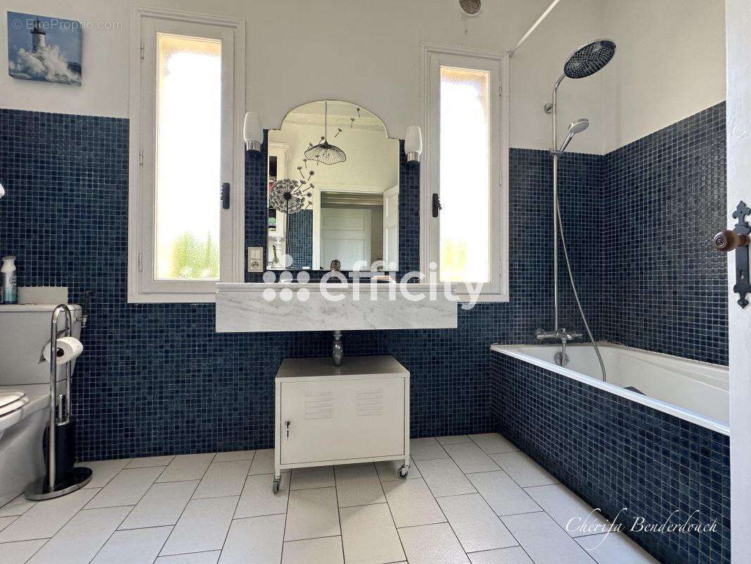 Maison à LES PEINTURES