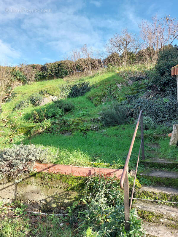 Maison à SAINT-JEAN-DE-THOUARS