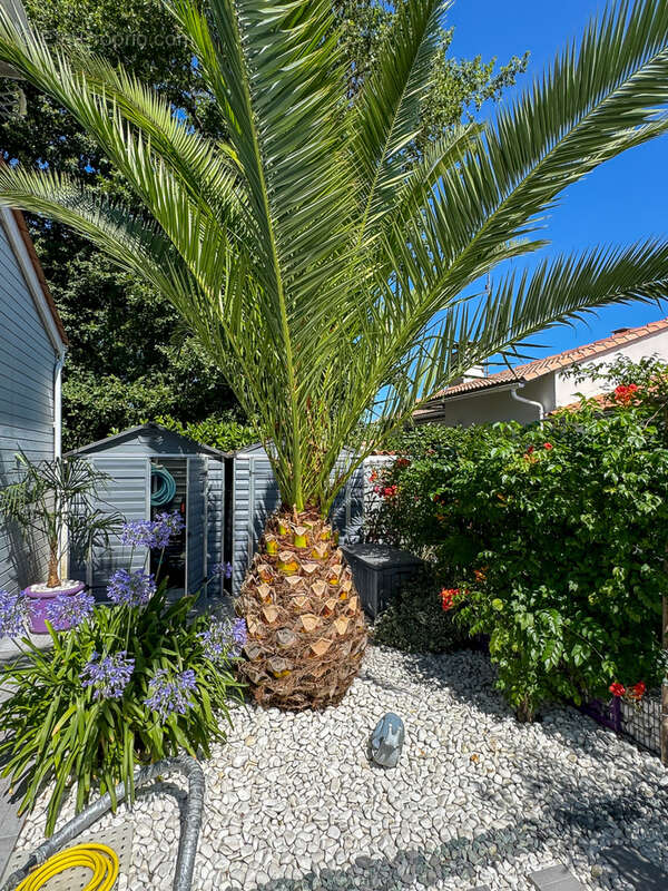 Maison à LA TREMBLADE